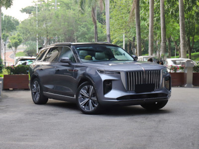 HongQi E-HS9  Фото №3
